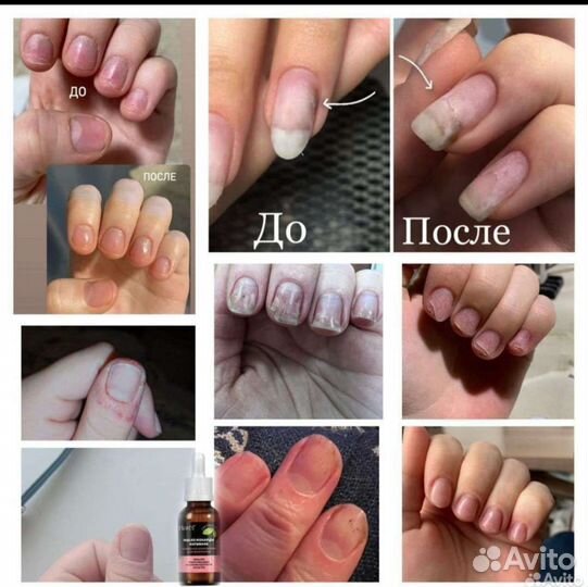 Масло монарды