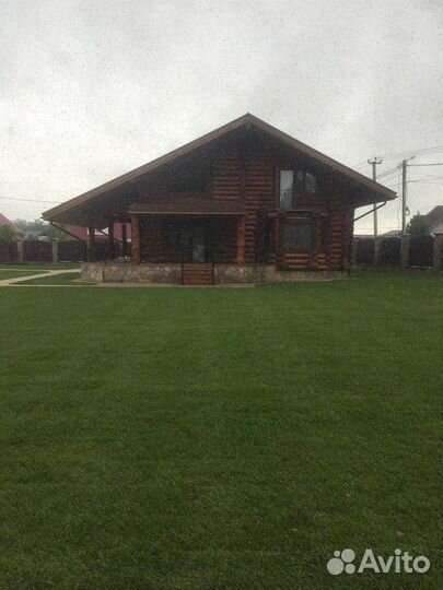 Продажа рулонного газона эконом