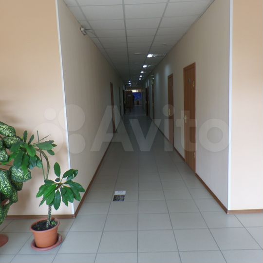 Офис, от 20 до 700 м²