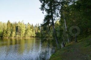 Участок 6 сот. (СНТ, ДНП)