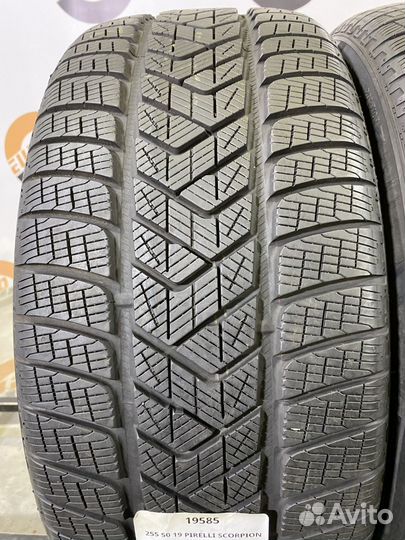 Pirelli Scorpion Winter 255/50 R19