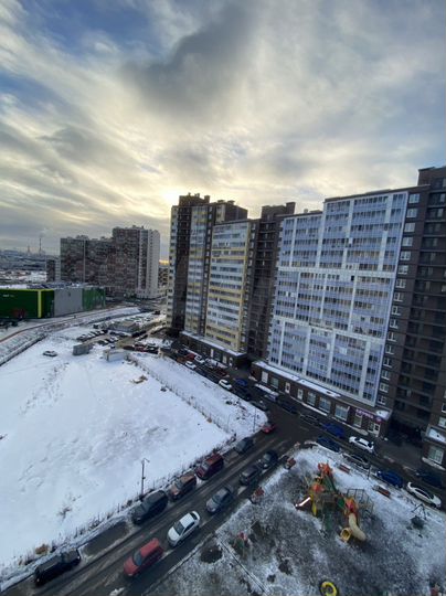 Квартира-студия, 23,9 м², 11/22 эт.