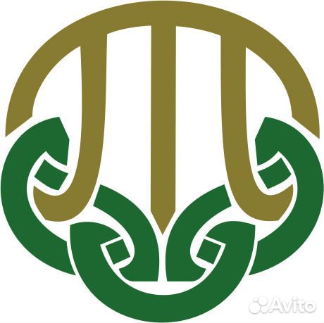 Веб программист (стажер)