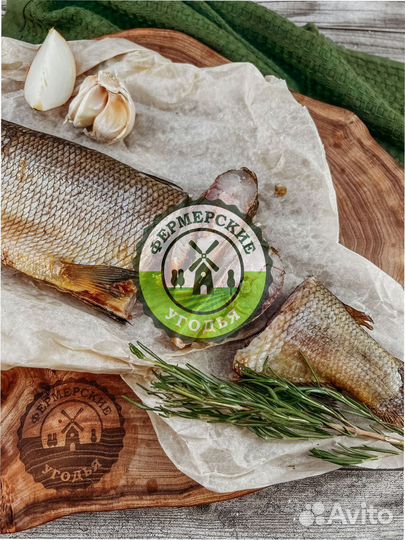 Рыба северная Язь Щука Щекур Мохтик Лещ Сырок