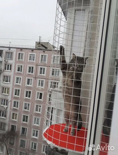 Балкон для котов,сетка для окон