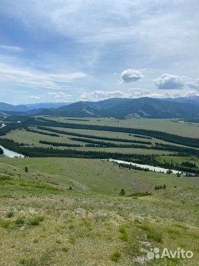 Автоэкскурсии, джип-туры по Кош-Агачскому району