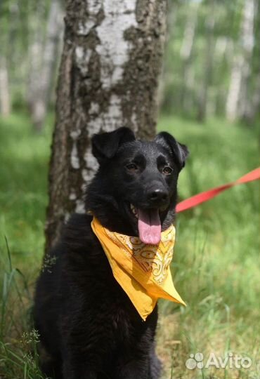 Лиз.Только посмотрите на неё