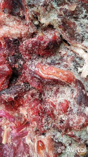 Обрезь мясная говяжья, печень для собак