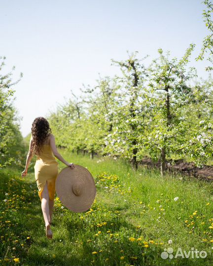Шляпа с большими полями в прокат