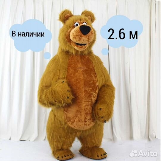 Медведь Мишка 