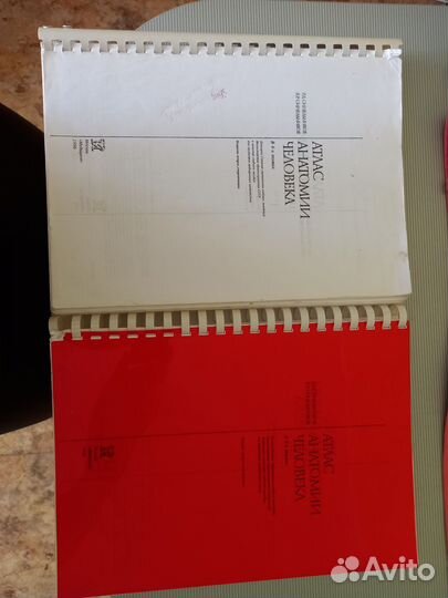 Атлас анатомии человека синельников