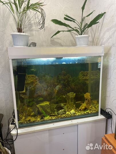 Аквариум