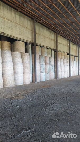 Сено в рулонах люцерна первый укос