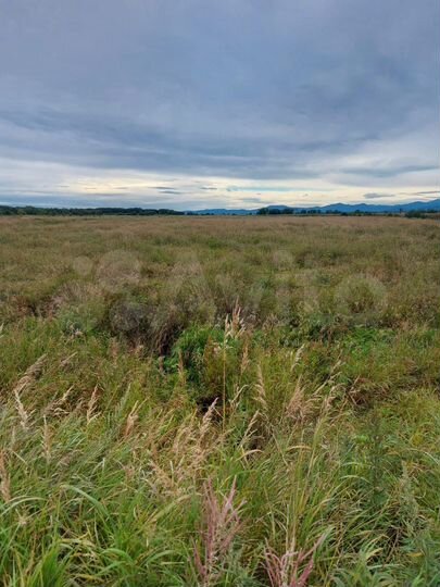 Участок 3,3 га (СНТ, ДНП)