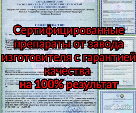 Дезинфекция-Уничтожение-клопов-короеда-тараканов