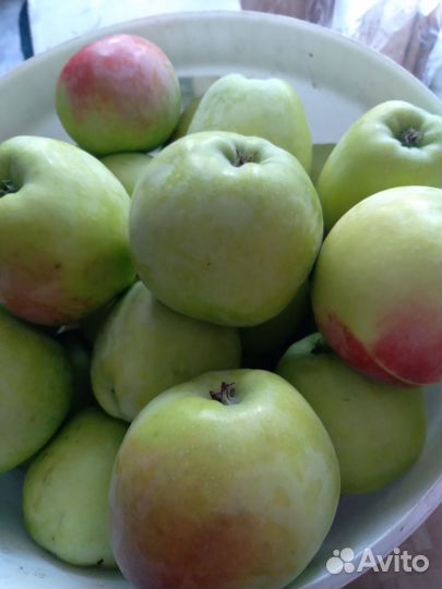 Яблоки