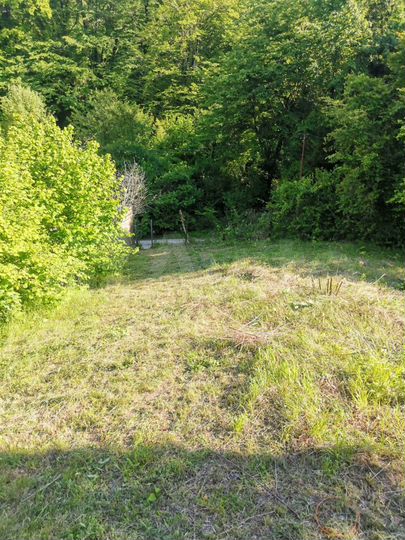 Участок 5,2 сот. (СНТ, ДНП)