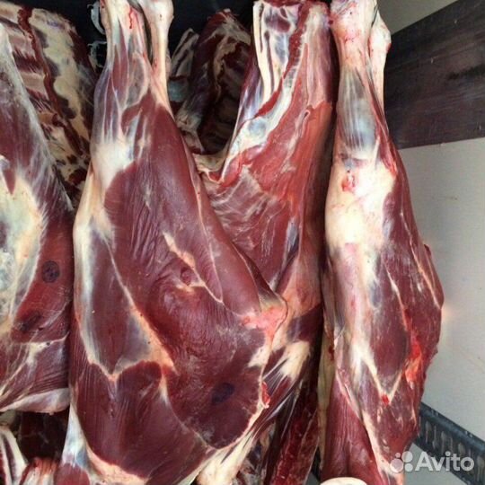 Продам мясо говядина.Телка 2-х годовалая