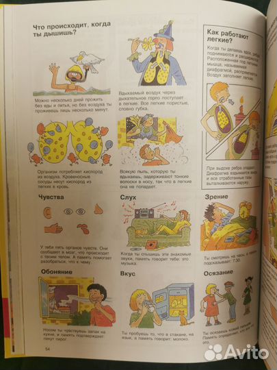 Детская энциклопедия росмэн