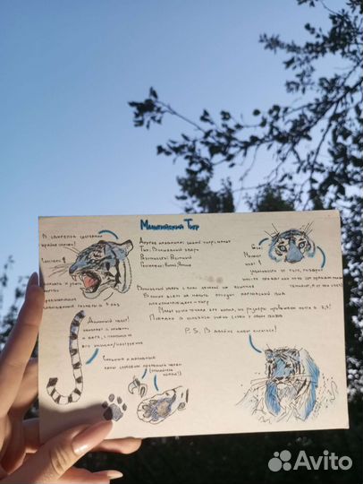 Рисунки на заказ