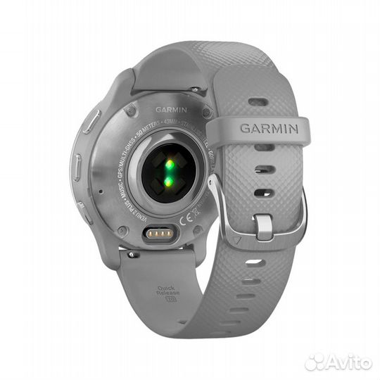 Смарт-часы Garmin Venu 2 Plus. Серебристый