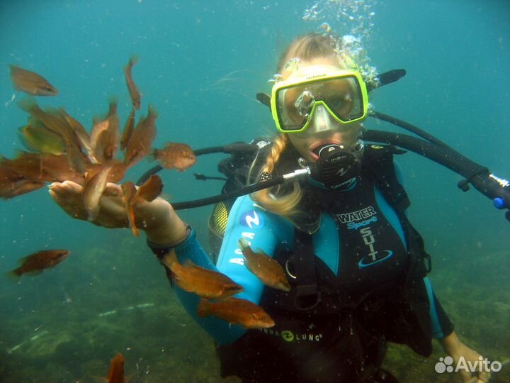 Дайвинг. Погружение. Экскурсии в Геленджике