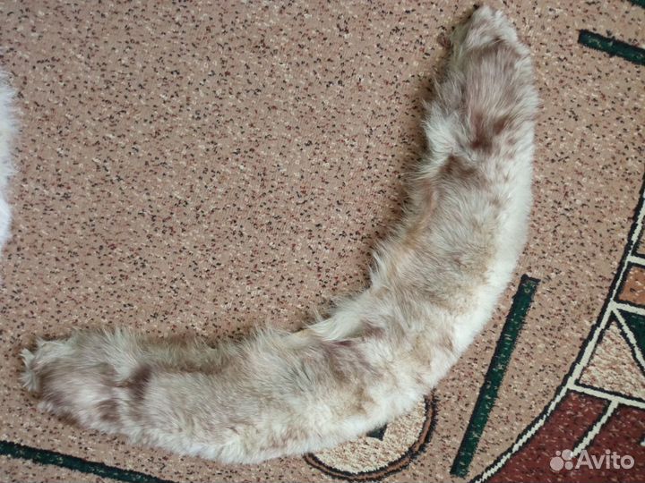 Песцовый воротник - горжетка