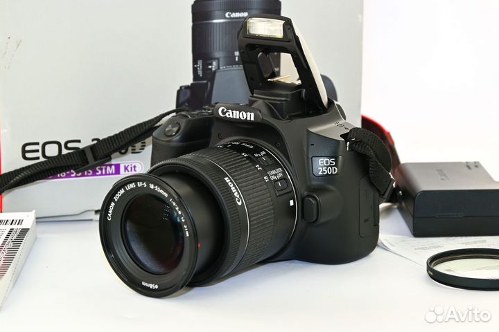 Canon EOS 250D 24.0MP цифрозеркалка Kit 18-55 STM