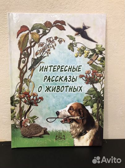 Новые. Книги для детей