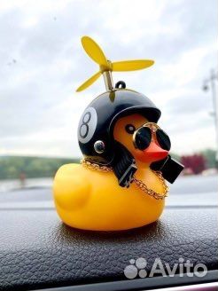 Уточка в машину