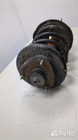 Амортизатор подвески правый передний Acura MDX, 2005