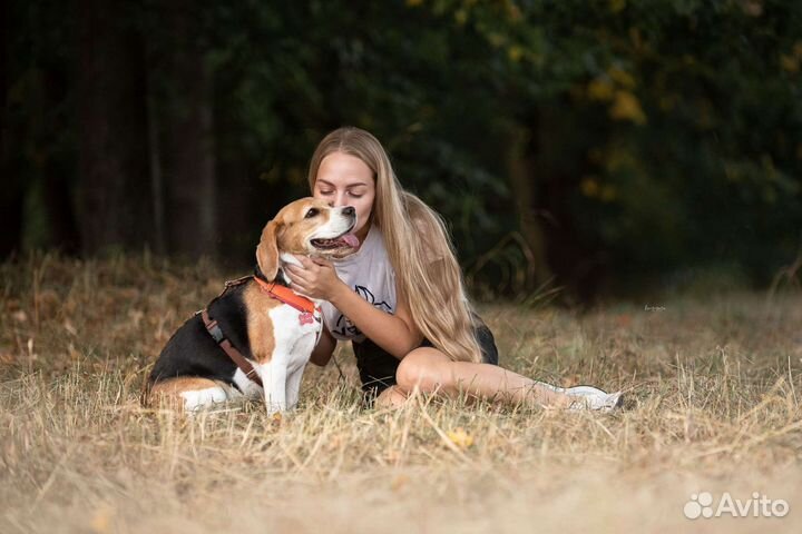 Специалист по поведению собак (кинолог)