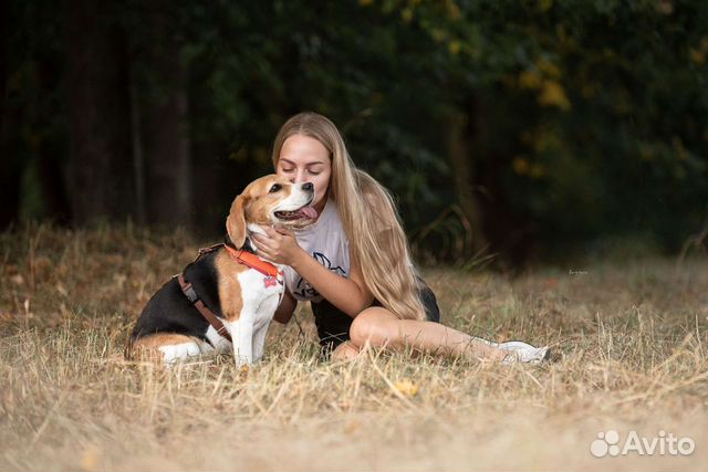 Специалист по поведению собак (кинолог)