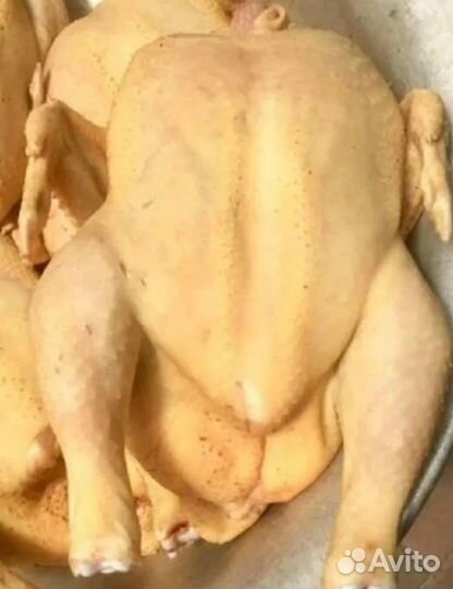 Тушка домашнего бройлера