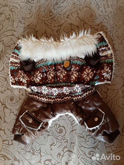 Одежда для собак