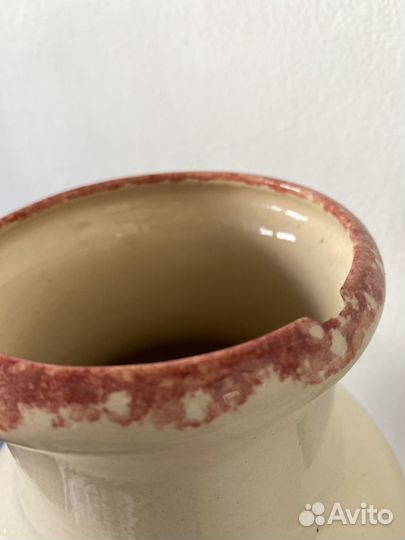 Папоротник асплениум гнездовой