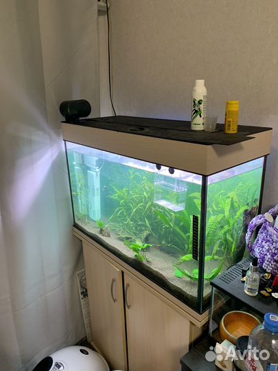 Аквариум с тумбой и рыбками и лампами