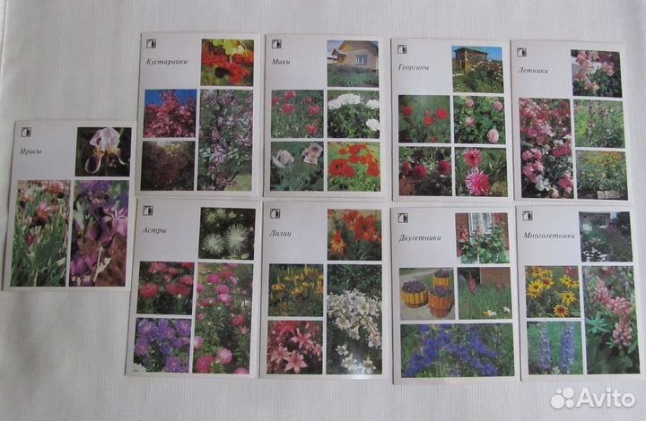 Открытки Ваш приусадебный участок, Овощи