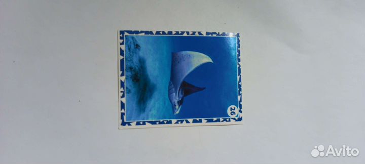 Наклейки живая планета