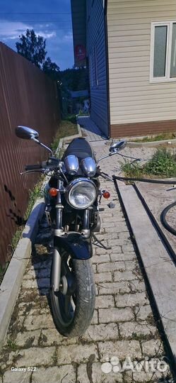 Suzuki bandit