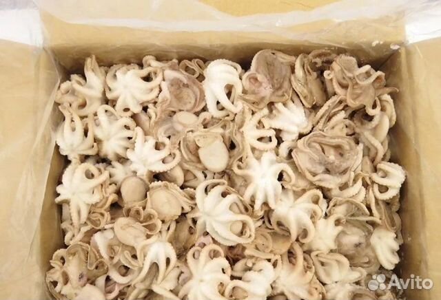 Осьминожки морепродукты