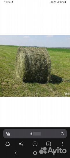 Продам сено