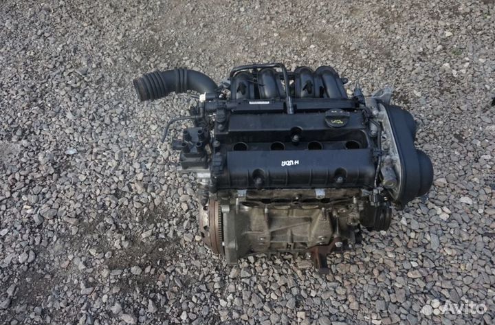 Двигатель Ford Focus hwda 2004 (б/у)