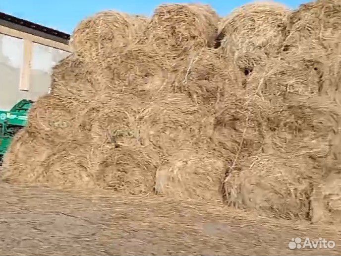 Сено солома в рулонах