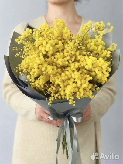 Букеты из мимозы (Арт.14604)