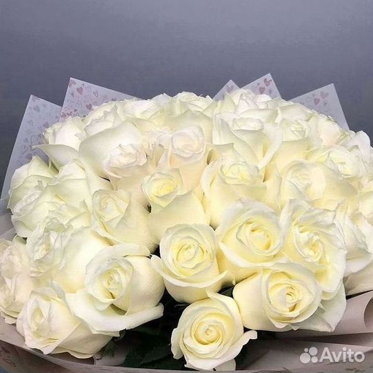 Розы Высокие 150см 160см 170см 180см 190см 2м