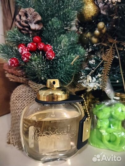 Signorina и Coach. Оригиналы