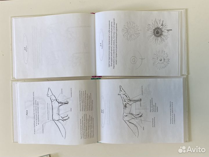 Рисуем на коленке.Обучение рисованию.Цена за 3 шт