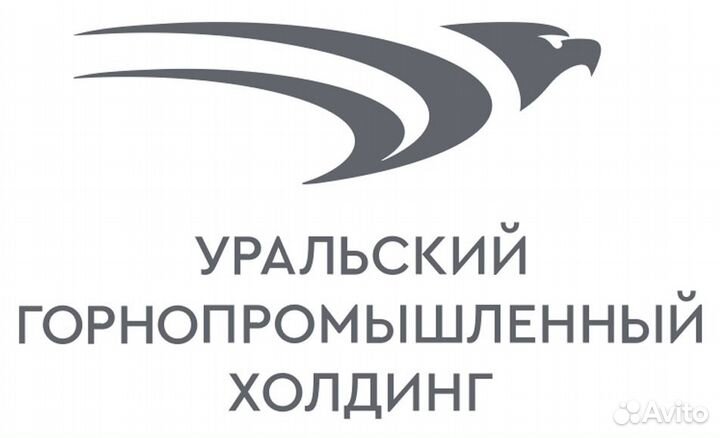 Старший горный мастер