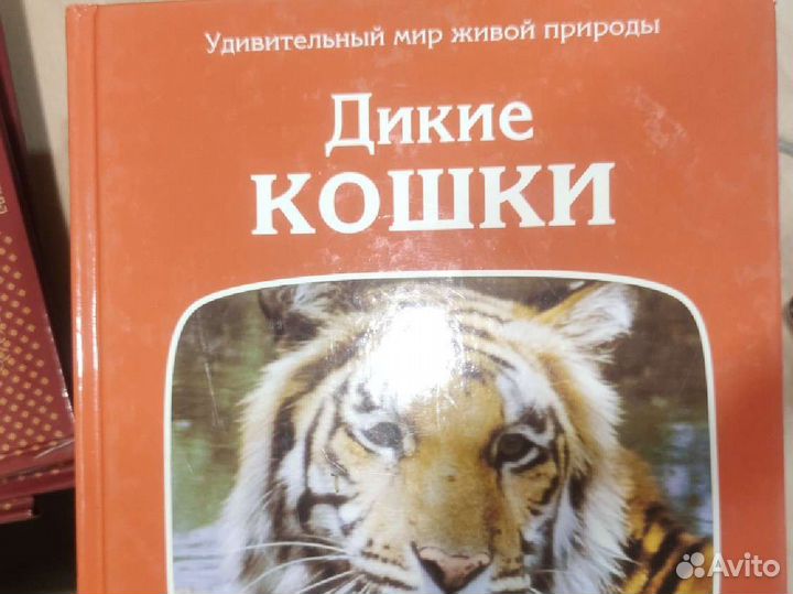 Удивительный мир живой природы, лот 8 шт